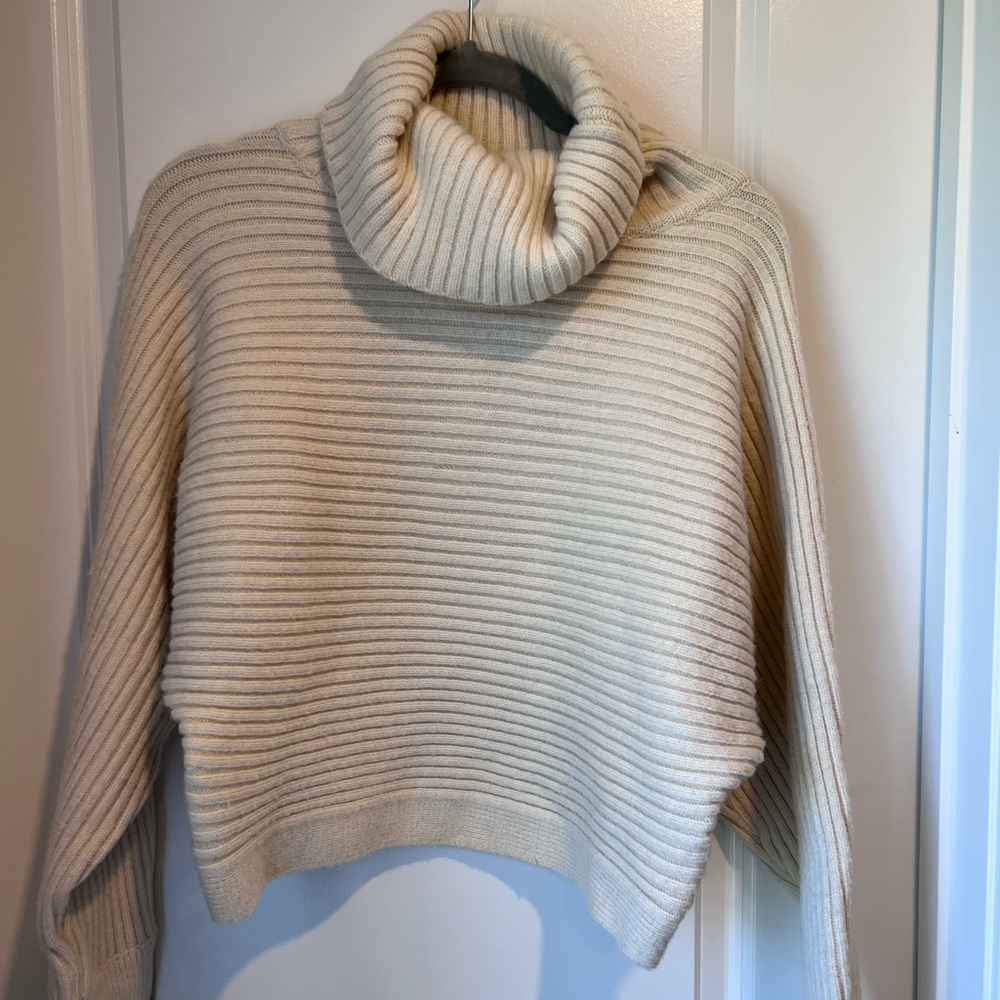 Lumiere cropped turtleneck